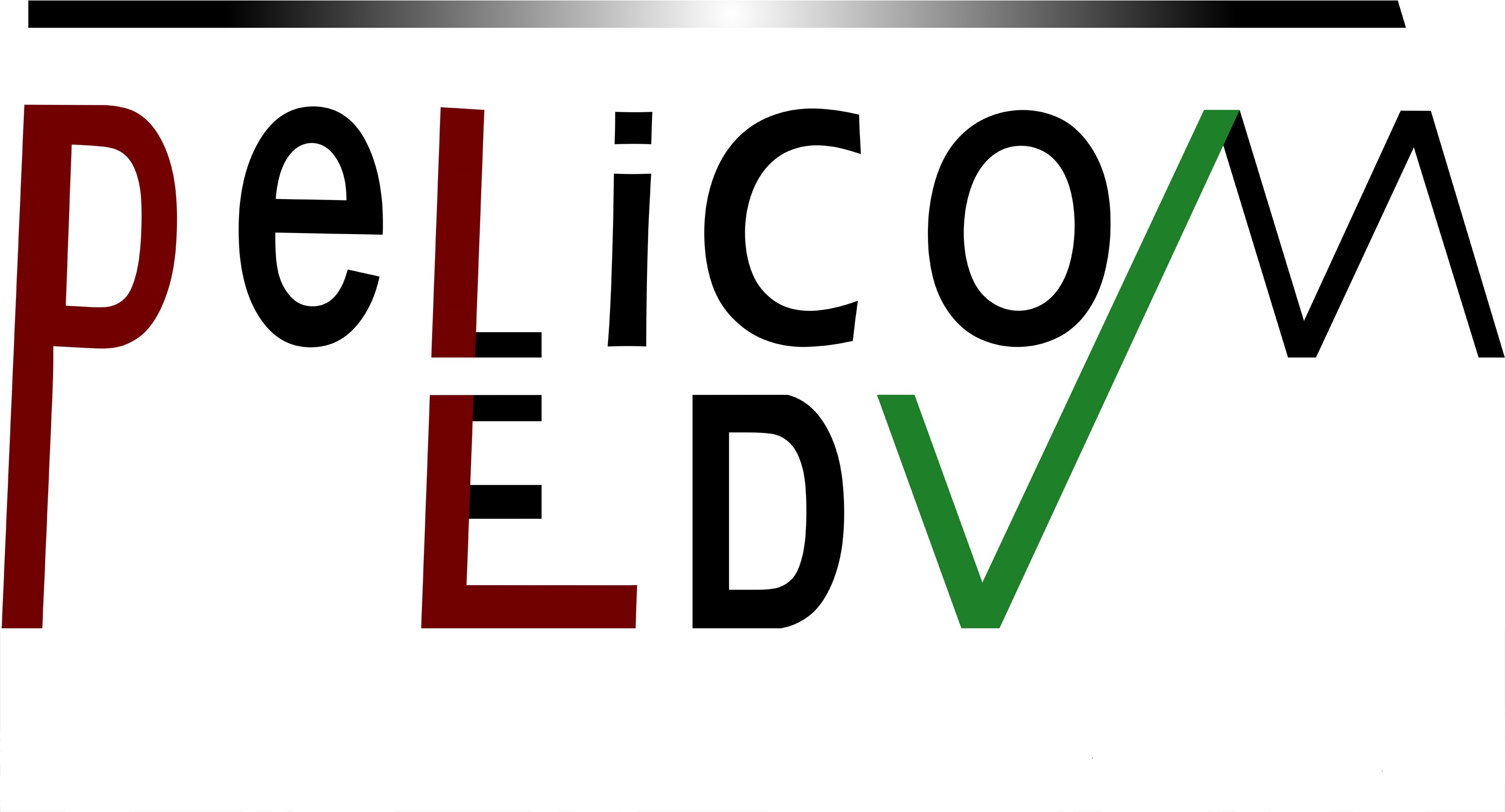 PeLiCom EDV